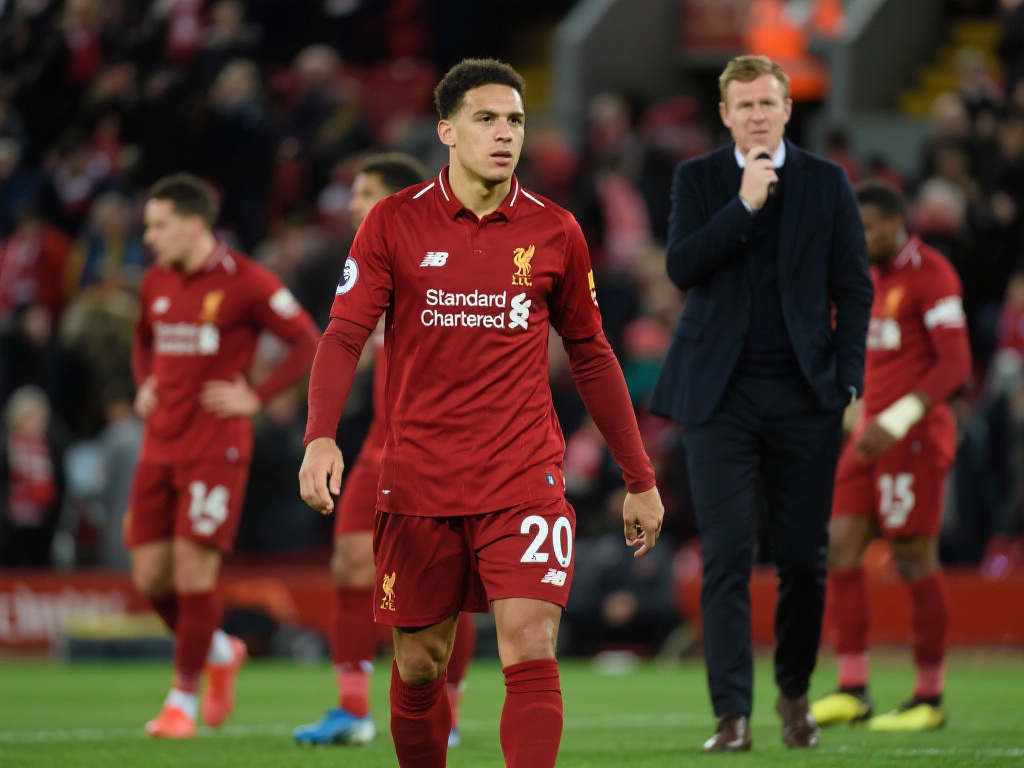 样的背景 样的背景